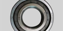 bearing-nup2206e